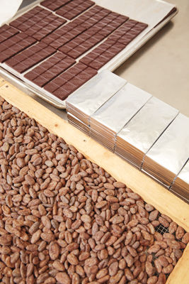 Volo Chocolate: The Sweet Life